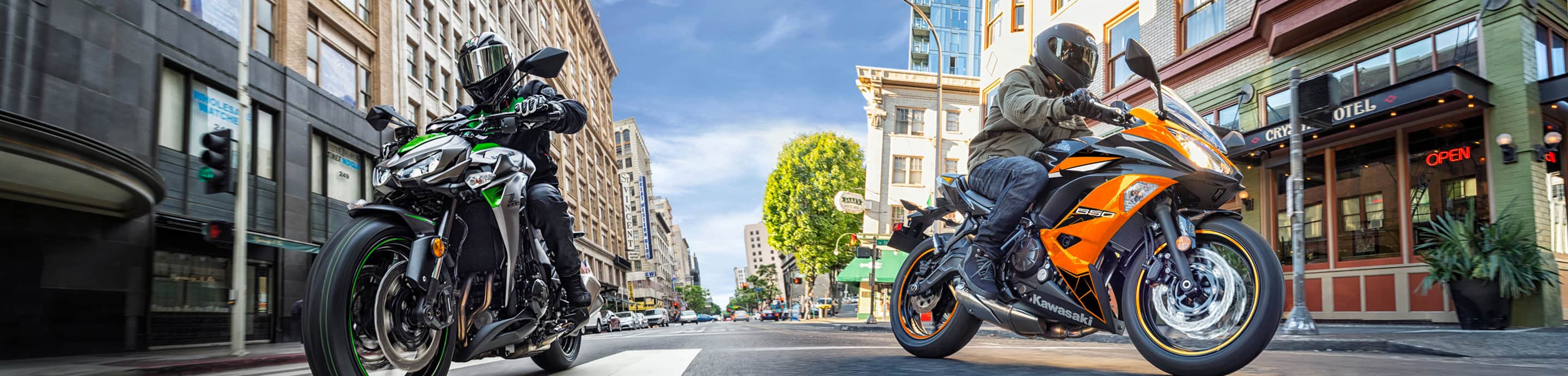 Carene Kawasaki ZX6R