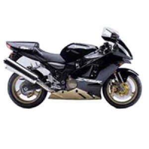 Carene Kawasaki ZX12R 2000-2001