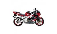 Carene Kawasaki ZX9R 2000-2001