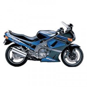 Carene Kawasaki ZZR600 1998-2003
