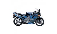 Carene Kawasaki ZZR600