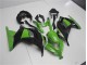 ABS Plastica & Carenatura Kawasaki EX300 13-16 - Verde Nero ABS Plastica & Carenatura Kawasaki EX300 13-16 - Verde Nero