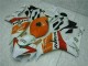 Carene Honda CBR 1000 RR 04-05 - Arancia Bianco Repsol Carene Honda CBR 1000 RR 04-05 - Arancia Bianco Repsol