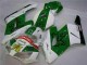 Carene Honda CBR 1000 RR 04-05 - Verde Bianco Carene Honda CBR 1000 RR 04-05 - Verde Bianco