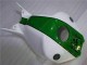 Carene Honda CBR 1000 RR 04-05 - Verde Bianco Carene Honda CBR 1000 RR 04-05 - Verde Bianco