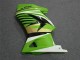 Carene Kawasaki EX250 08-12 - Verde Bianco Nero Ninja Carene Kawasaki EX250 08-12 - Verde Bianco Nero Ninja
