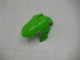 Carene Kawasaki EX300 13-16 - Verde Nero Argento Carene Kawasaki EX300 13-16 - Verde Nero Argento