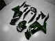 Carene Kawasaki EX650 06-08 - Verde Fiamma Carene Kawasaki EX650 06-08 - Verde Fiamma