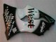 Carene Kawasaki ZX6R 00-02 - Nero West Ninja Carene Kawasaki ZX6R 00-02 - Nero West Ninja