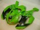 Carene Kawasaki ZX6R 07-08 - Verde Nero Dunlop Carene Kawasaki ZX6R 07-08 - Verde Nero Dunlop
