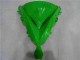 Carene & Plastica Kawasaki EX650 06-08 - Verde Nero Carene & Plastica Kawasaki EX650 06-08 - Verde Nero