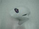 Carrozzeria & Carena Honda CBR 1000 RR 04-05 - Blu Bianco Carrozzeria & Carena Honda CBR 1000 RR 04-05 - Blu Bianco