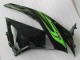 Carrozzeria & Carena Kawasaki ZX6R 09-12 - Verde Nero Carrozzeria & Carena Kawasaki ZX6R 09-12 - Verde Nero