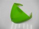 Kit Carena & Plastica Kawasaki ZX6R 05-06 - Verde Kit Carena & Plastica Kawasaki ZX6R 05-06 - Verde
