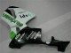 Kit Carenatura Completo ABS Honda CBR 600 RR 05-06 - Verde Kit Carenatura Completo ABS Honda CBR 600 RR 05-06 - Verde