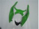 Kit Carenatura Completo ABS Kawasaki ZX6R 09-12 - Verde Nero Kit Carenatura Completo ABS Kawasaki ZX6R 09-12 - Verde Nero
