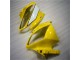Kit Carene Yamaha R6 06-07 - Giallo Bianco Nero Kit Carene Yamaha R6 06-07 - Giallo Bianco Nero