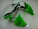Kits Carenatura Iniezione Kawasaki ZX6R 00-02 - Verde Nero Kits Carenatura Iniezione Kawasaki ZX6R 00-02 - Verde Nero