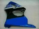Kits Carene & Plastica Kawasaki ZX6R 00-02 - Blu Kits Carene & Plastica Kawasaki ZX6R 00-02 - Blu
