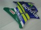 Carene Moto Honda CBR600 F3 1995-1996 - Blu Verde Giallo MoviStar Rosso Castrol