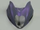 Carena Moto Suzuki GSXR 1300 Hayabusa 1996-2007 - Camaleonte Grigio Dazz Viola Perla