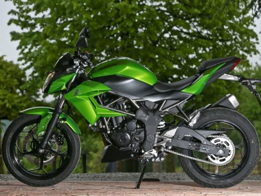 Carena Moto Kawasaki Z250/Z300 2015-2016 - Verde Nero Opaco