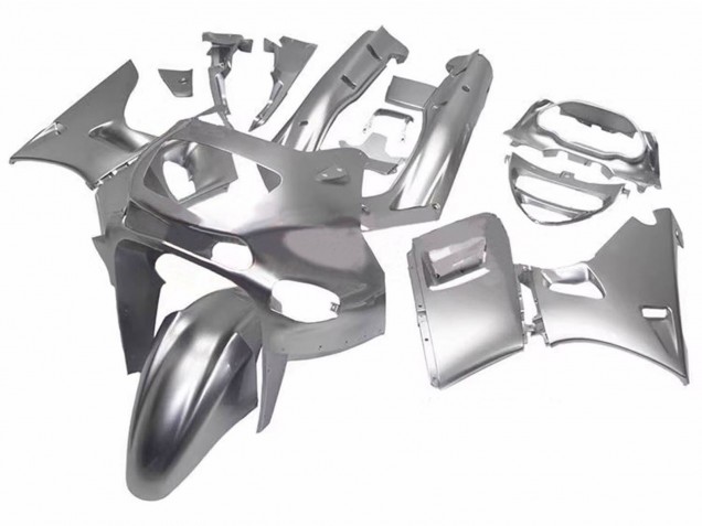Carena Moto Kawasaki ZZR600 1998-2003 - Argento