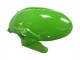 Carena Moto Kawasaki ZX6R 2023-2025 - Verde Nero