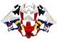 Carena Moto Honda CBR900RR 919 1998-1999 - Bianco Rosso Giallo Blu