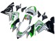 Carena Moto Kawasaki ZX10R 2004-2005 - Verde Argento Nero 69