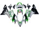 Carena Moto Kawasaki ZX10R 2004-2005 - Verde Argento Nero 69