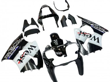 Carena Moto Kawasaki ZX6R 2000-2002 - Nero Lucido Bianco West Michelin