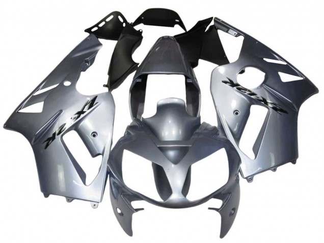 Carena Moto Kawasaki ZX12R 2002-2006 - Argento