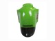 Carena Moto Kawasaki ZX12R 2002-2006 - Verde Nero Lucido Elf Touch4 Mostro