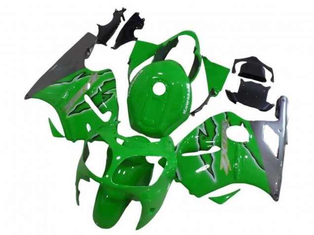 Carena Moto Kawasaki ZX12R 2002-2006 - Verde Argento