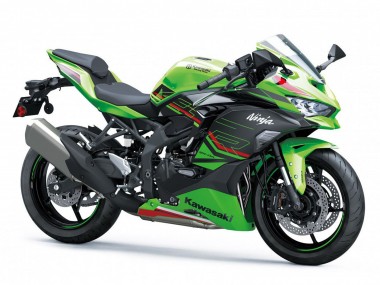Carena Moto Kawasaki ZX4R ZX-4RR 2019-2025 - Verde Nero Rosso Bianco